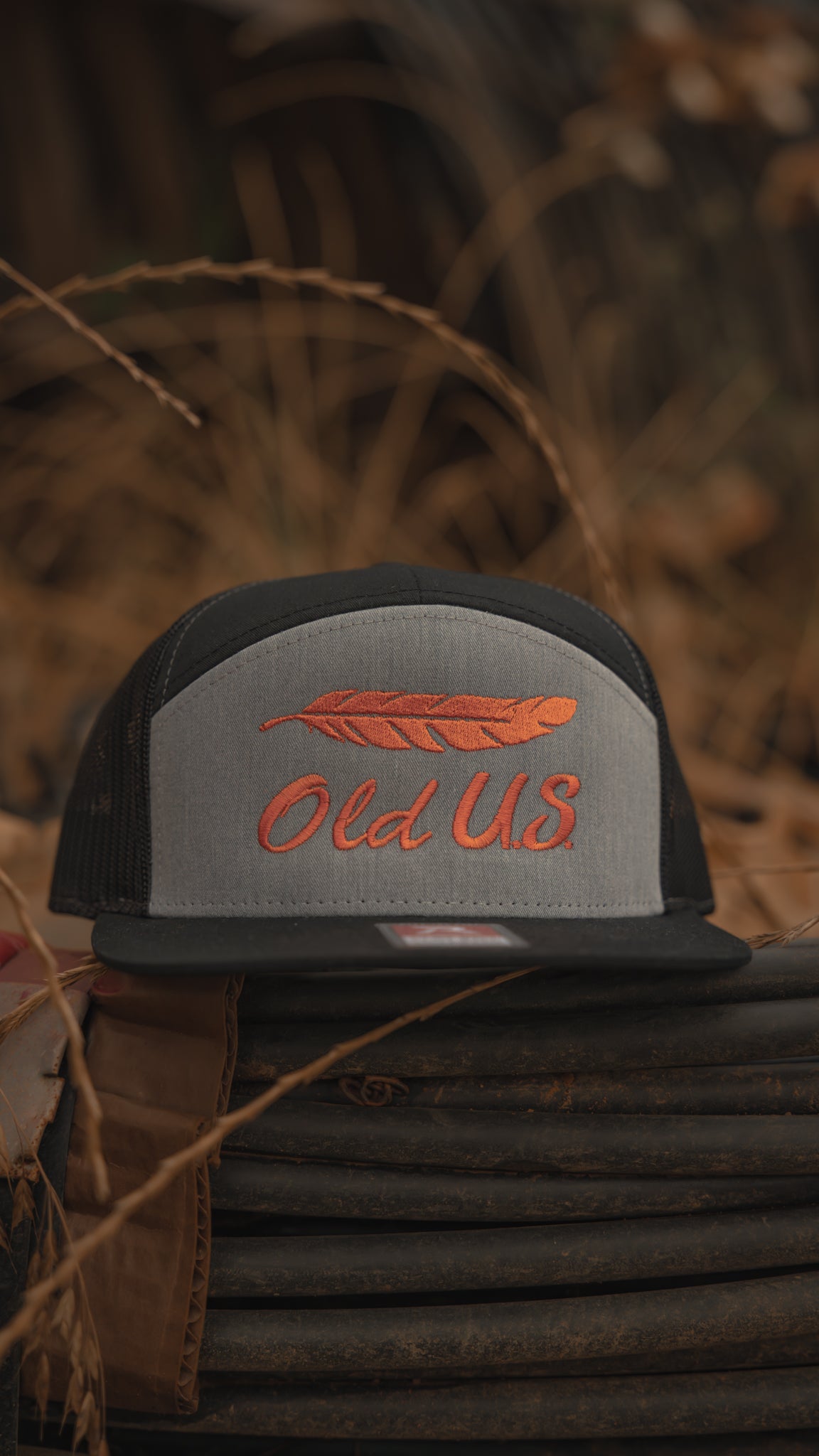 The Orange Feather