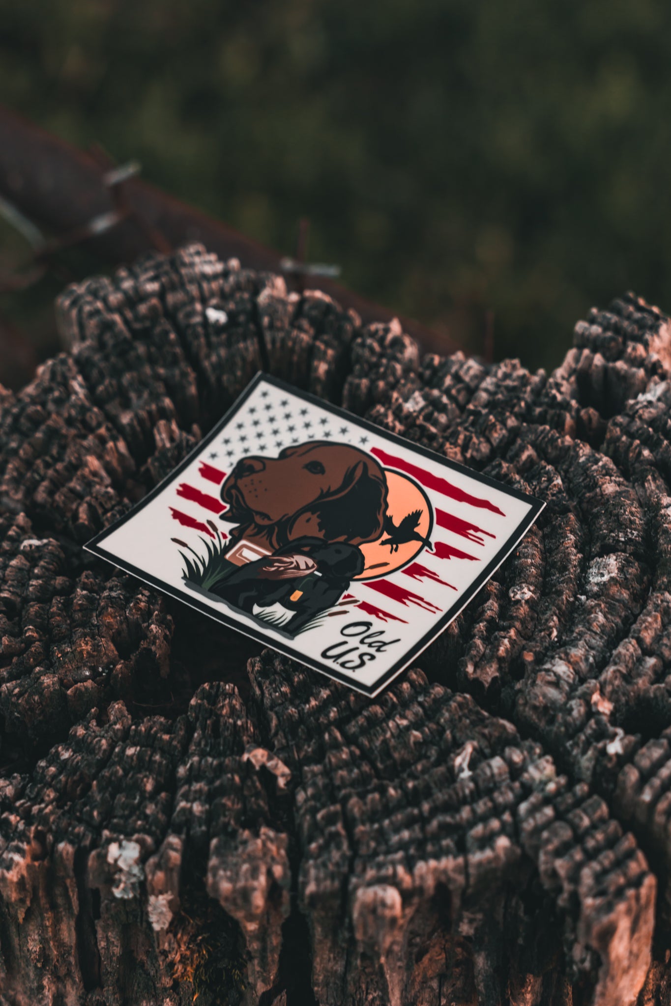 The Dog Sunset Decal